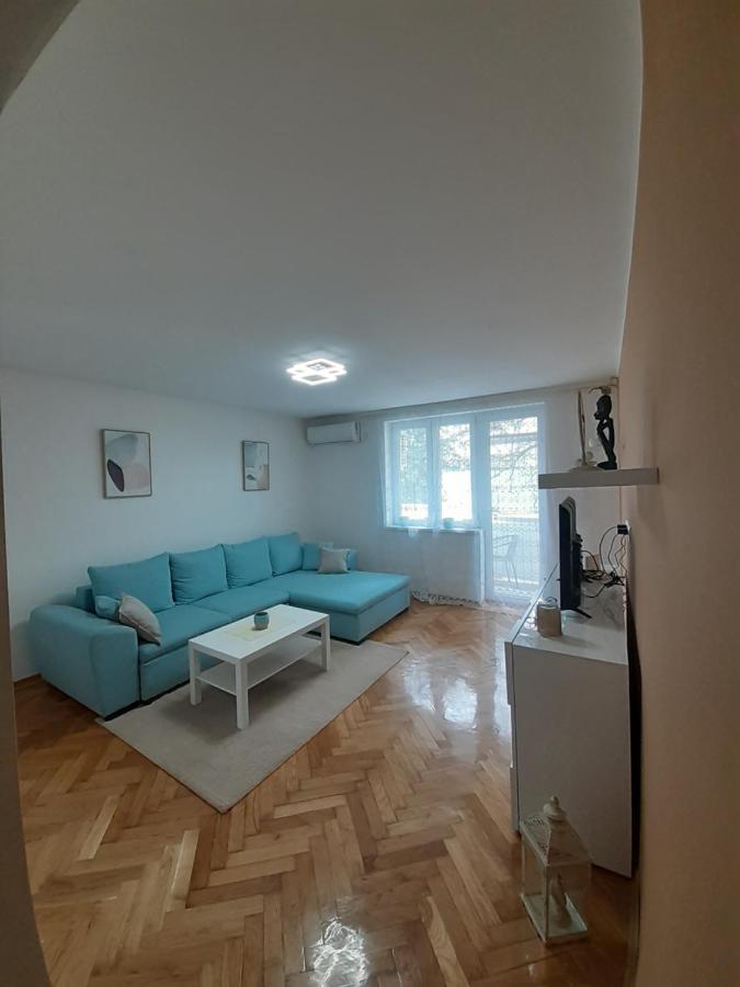 Apartman Jovana スレムスカ・ミトロヴィツァ エクステリア 写真