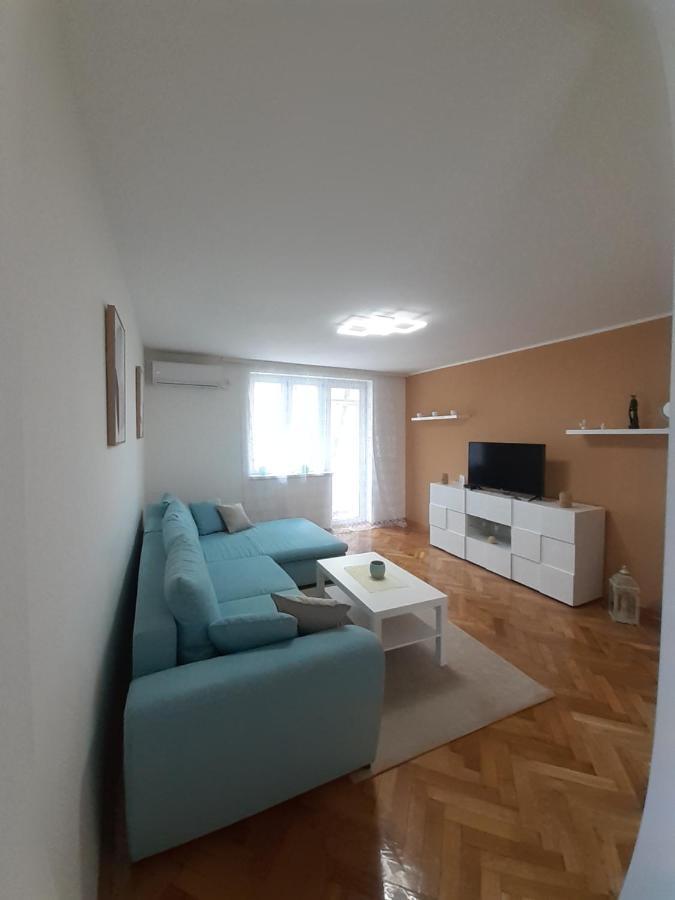 Apartman Jovana スレムスカ・ミトロヴィツァ エクステリア 写真